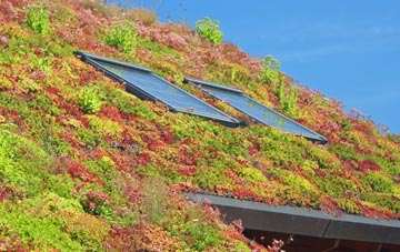 Germiston living roof systems